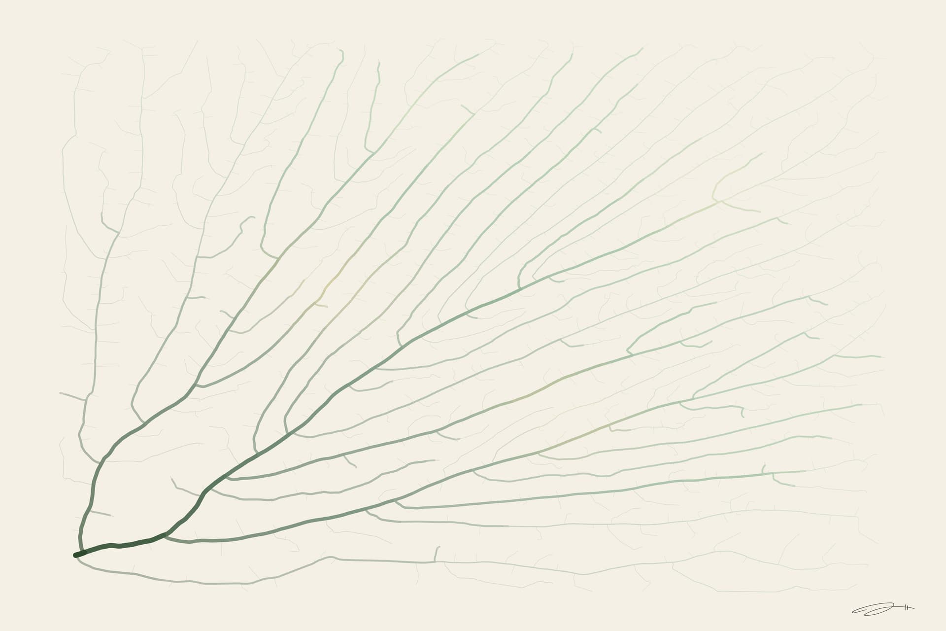 Mycelium — minimalist mathematical fine art print from the growth series by Geometry of Feeling