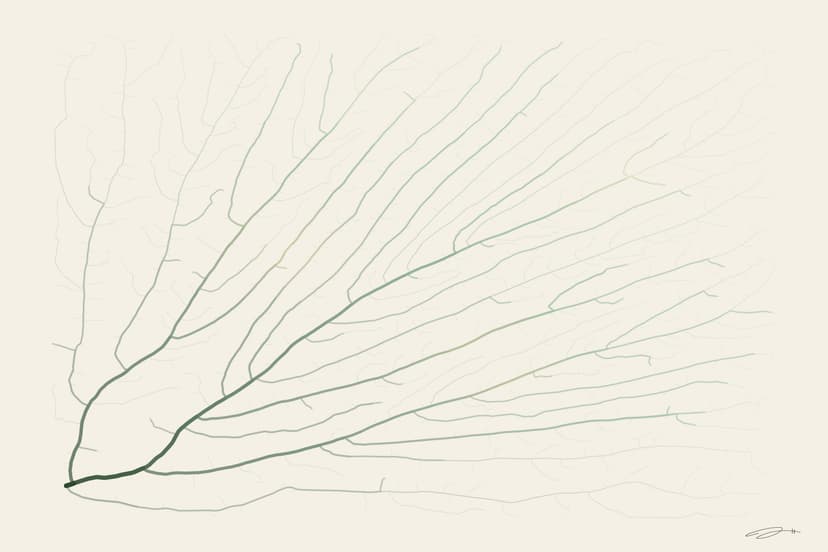 Mycelium — mathematical art print from the GROWTH series by Geometry of Feeling